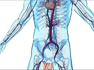 hey stepmom crystal clark, can you help with my wicked hormones in bedroom? passionate blowjob and doggystyle creampie await!