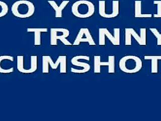 Shemale webcam hot cumshot with big cock and big tits masturbation?