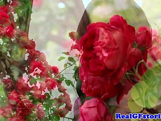 Ashlynn And Emma Sirus In Allured Assistant Lesbian Mesmerize Foot Worship Scene In HD 1080p