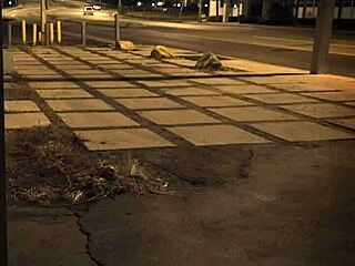 Why Get Fucked Outdoors Unless You're From The Sixties And Dig That Earth Milf Domination?