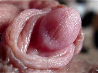 Hey check out this close-up of a big clit reaching orgasm it's intense
