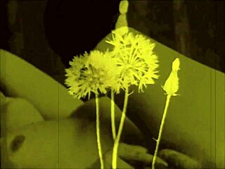 retro erotic art looks so intriguing with those vintage vibes