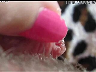 Hey check out this close-up of a big clit reaching orgasm it's intense