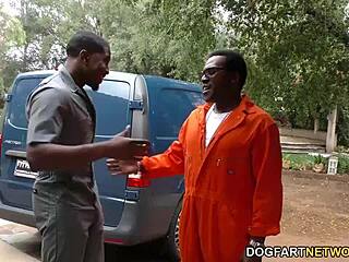 Are you watching as cuckold sees anal slut Britney Amber getting DPD by big black cocks?