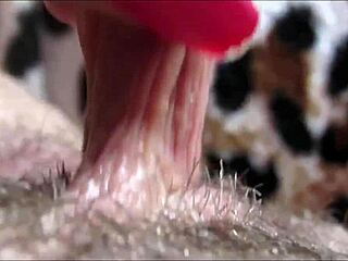 Hey check out this close-up of a big clit reaching orgasm it's intense