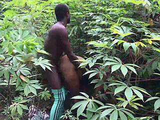 African farmers in nigeria engage in intense romantic knacking session