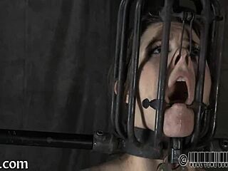 la playa es el mejor lugar para el delicioso - público sexo - trailer