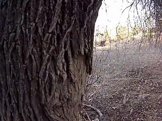 Arabic Prince Is Horny Fucker Who Rips Clothes for Rough Outdoor Sex!