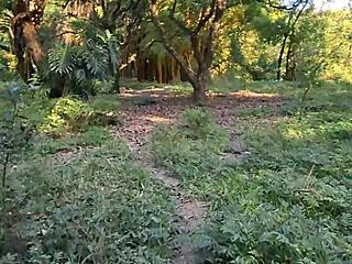 stranger approached me in the forest for blowjob and outdoor fucking