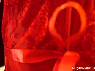 Ladyboy Prem Engages In Frottage And Bareback Action!