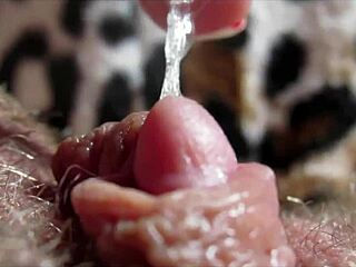 Big Clit Orgasm In Closeup