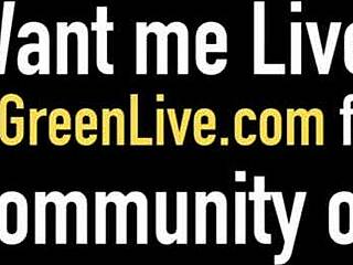 Massive melons Maggie Green and Vyxen Steel lick cum!