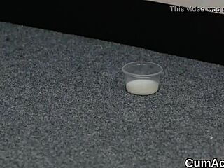 wacky honey gulps huge sperm facial after blowbang!