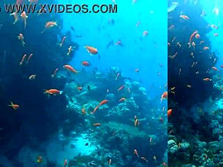 Skinny babe with big ass tits rides monster cock on yacht creampie outdoor public romp