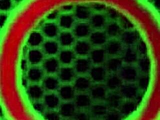 Milf Vicky Vette rubs pink pussy masturbates sucks cock