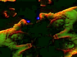 Madonna sings forbidden love in her steamy music video clip