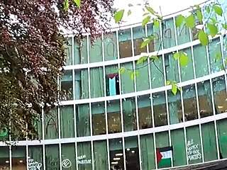 portland pawg bounces bubble butt on cock in creampie doggy ride