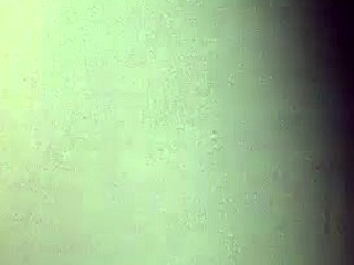 G-string and fishnets only deep in the woods tease!