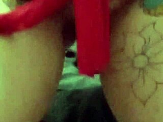 Big tits all my pussy piercings check em out amateur stretching holes