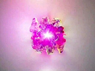 She flashes big tits for job then takes monster cock creampie