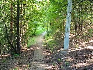 your phone vlog turns into public park quickie blowjob risk huh