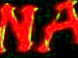 Adriana kelly spots big dick through money wall and sucks wildly