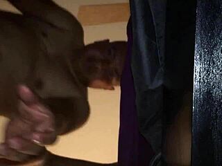 amateur guy fucks his black girlfriend on bed