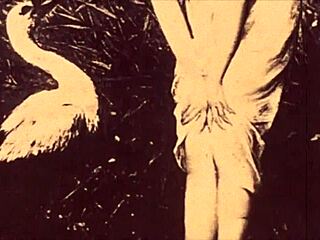 Vintage Erotic Drawings Spark Antique Passion!