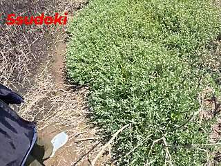 tengo sexo en el campo publico arriesgado con creampie y orgasmos