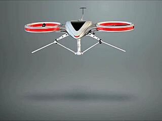 Czech teen monika spied in beach upskirt hidden cam action