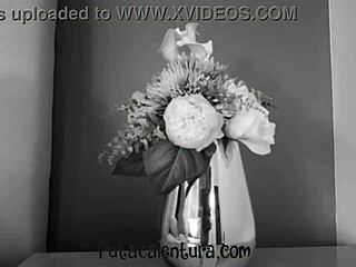 Join my pleasure trip to mexico for brunette milf doggystyle pounding?