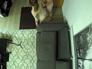 skye mae faces casting interview in intimate pov session