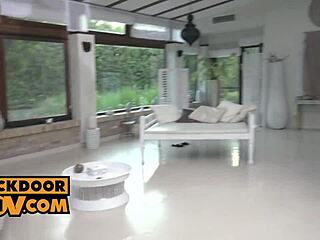 cock-hungry cherry kiss and lady dee beg for cash to fuck hard??