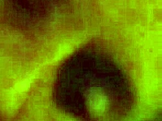 Jayexposed gets another hot shemale sucking his cock deep