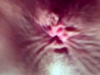 russian cutie in mini skirt + stockings begs fuck my tight anus doggy assplay 😈🍑