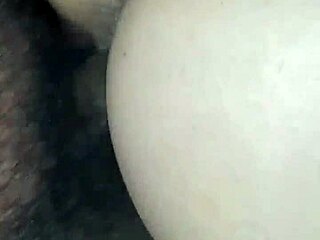 thick pawg milf creampied by massive bbc in amateur interracial