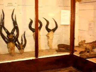 caroline sweets stretched wide by bbc in raw interracial pounding