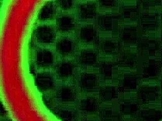 Ava Valentina begs Rome Major to fuck her ass hard jizz load!