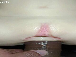 Sally dobija sirovo analno nabijanje u vrelom trejleru!