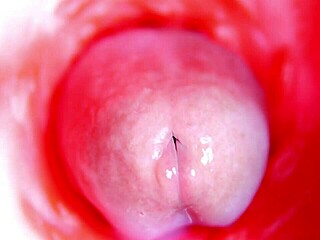 camera inside wet pussy captures deep machine fucking and near creampie orgasm