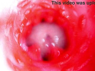 camera inside wet pussy captures deep machine fucking and near creampie orgasm
