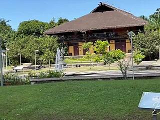 guia turistica leva turista pro parque e acaba com gozo na bunda e orgasmo