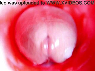 camera inside wet pussy captures deep machine fucking and near creampie orgasm