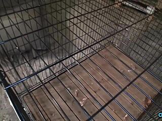 bound big tits redhead flaunts hairy beaver then gets used as fuckhole