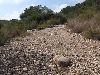 Imagine Banging Curvy Cuban Pornstar Gabriela Flores In The Woods?