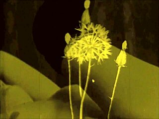 Vintage erotic hairy pussy beaver drawings!