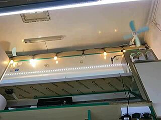 Boss fingers shop girl's wet pussy as customer chats.