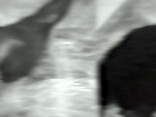 maid's big ass tits wet pussy fucked by monster cock?