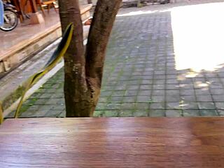 Katty West Fucks Coworker Roughly Bent Over Pool After Restaurant Fight