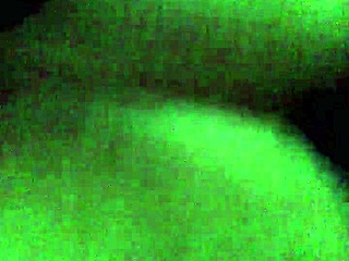 hey check out this ghetto hillbilly creaming hard all over that massive bbc